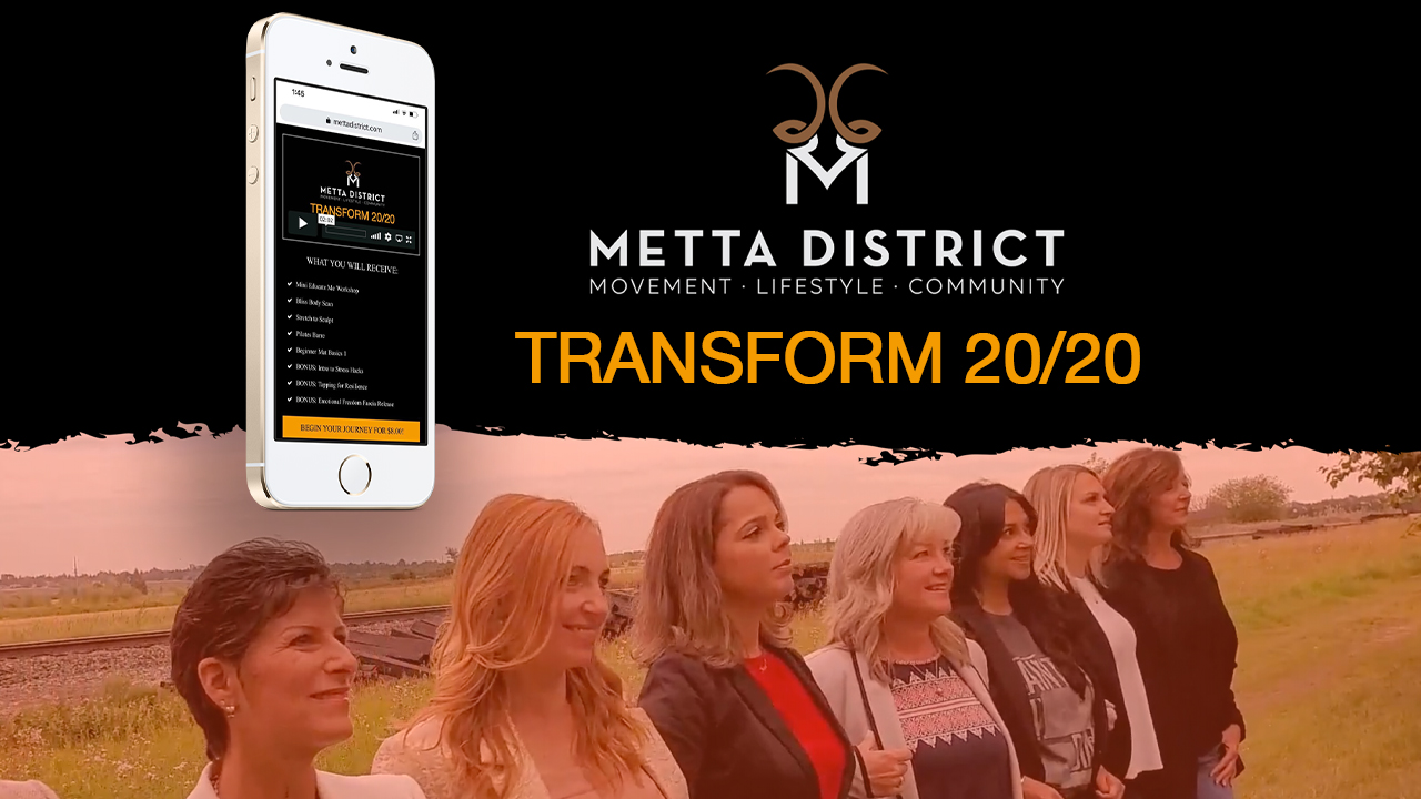 Jana-Danielson-Metta-District-Transform-2020-ECourse